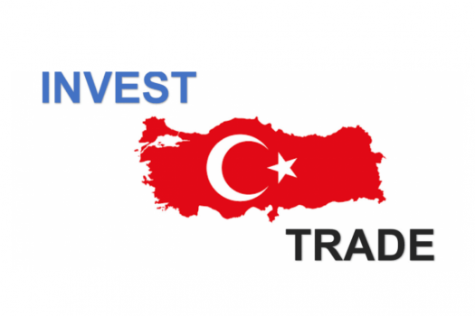 Brandyol-investing-in-Turkey-Renewable-Energy-in-Turkey 2