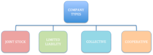 Brandyol, Limited Company and Joint Stock Company (a.ş), Similarities & Differences: