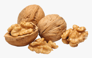 Fully Managed Walnut Farmland Projects in Turkey in 2021_7