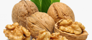 Brandyol, Investing in Turkey, Fully Managed Walnut Farmland Projects in Turkey in 2021-7