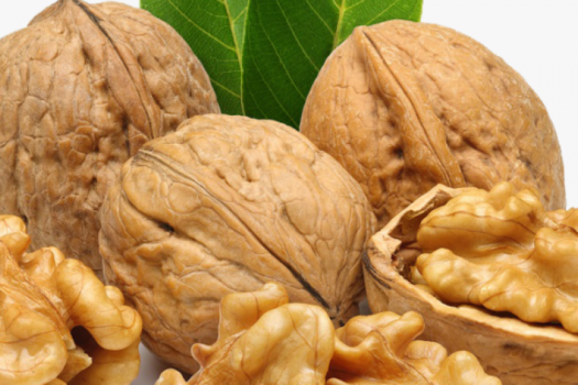 Brandyol, Investing in Turkey, Fully Managed Walnut Farmland Projects in Turkey in 2021-7