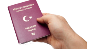Looking for Turkish Citizenship